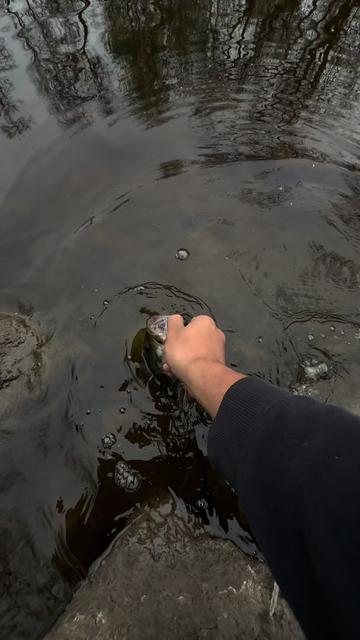 @218 fishing