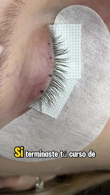 @academiadebellas