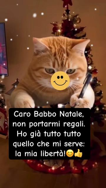 @antonellarizzo962