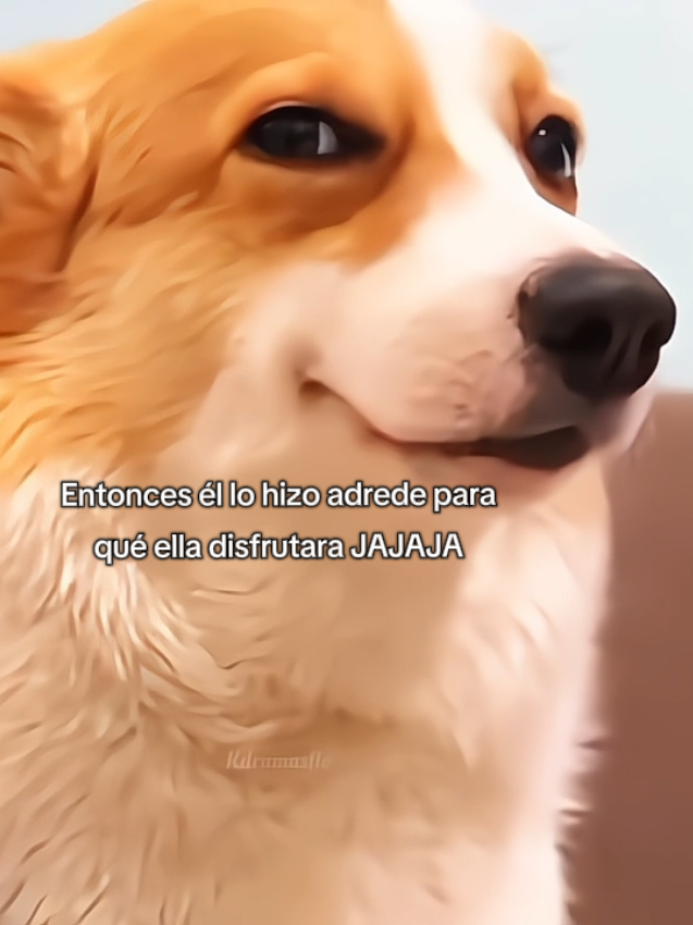 @Min🐝