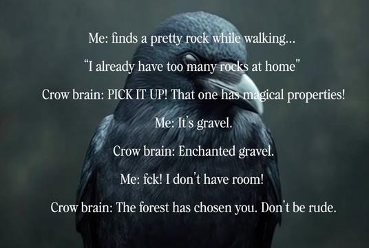 @Jasmin | A Rooted Life