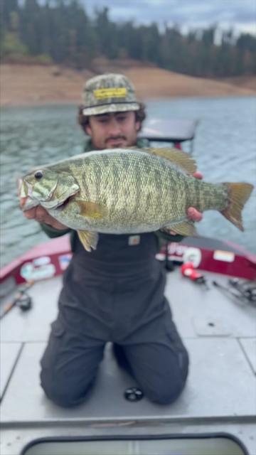 @Punkin Jigs