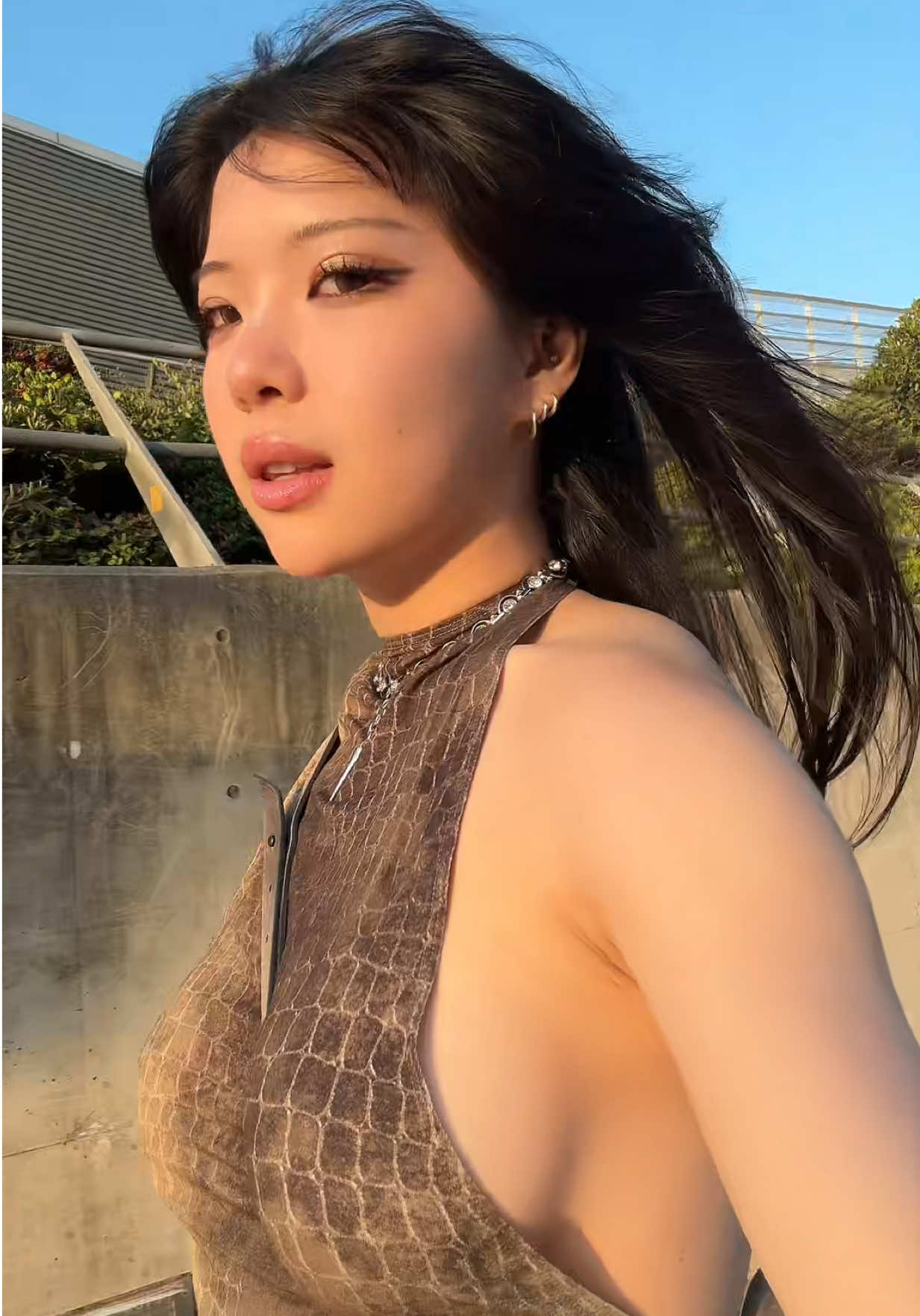 @anika