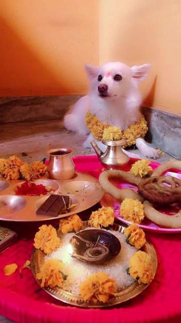 @pratikshyakhadkaa1