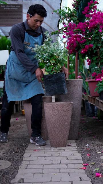 @Macetare Garden Shop Ecuador