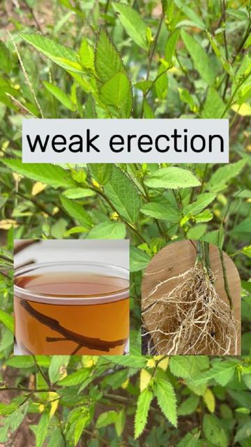 @Herbs And Mystics