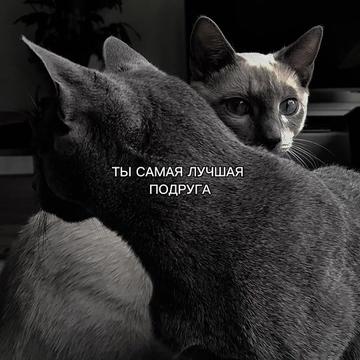 @ХХИКА