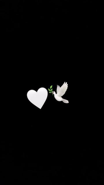 @Cherrelle |YedidVeNivchar🤍🕊️
