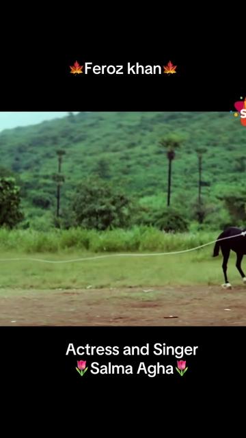 @Bollywood  Love & Sad Songs