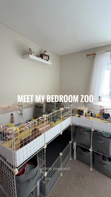 @Ashlyn | Pet Care