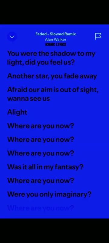 @Alan Walker Fan