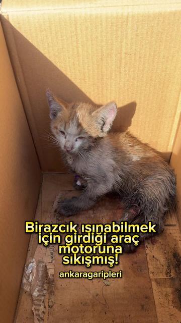 @Asiye