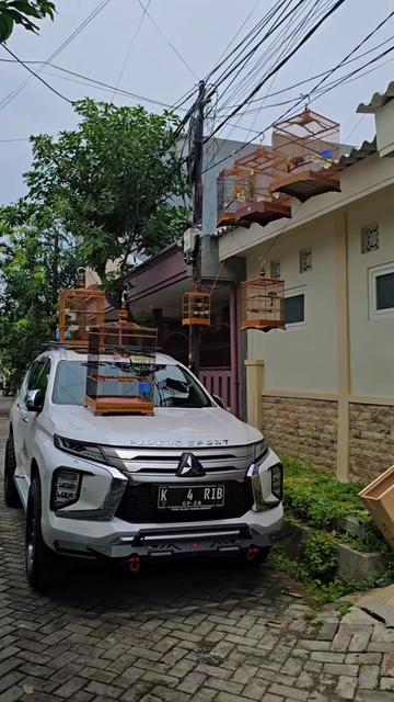 @Pajero KARIB