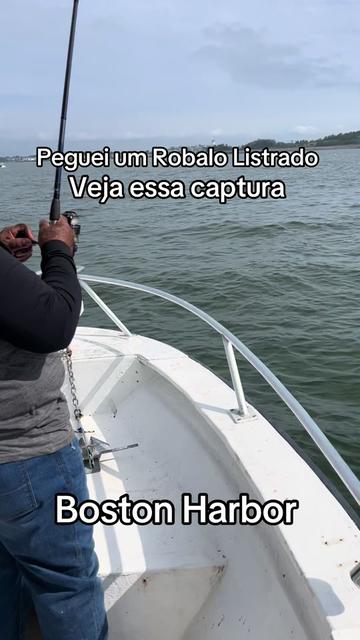 @Fernando