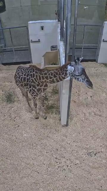 @Cincinnati Zoo