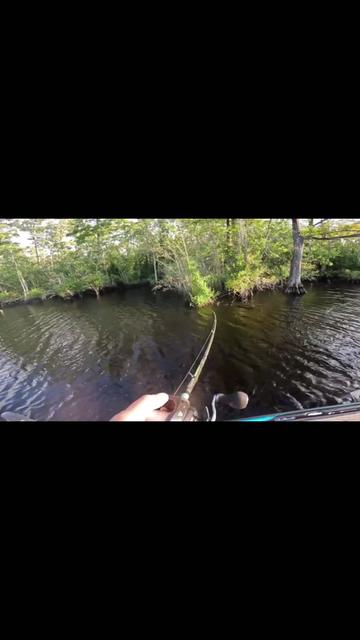@rlf fishing