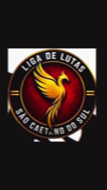 @SERGIO SILVA JR