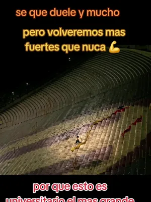 @dezacrema⭐️29