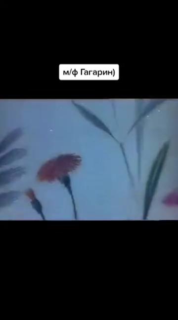 @rainkino