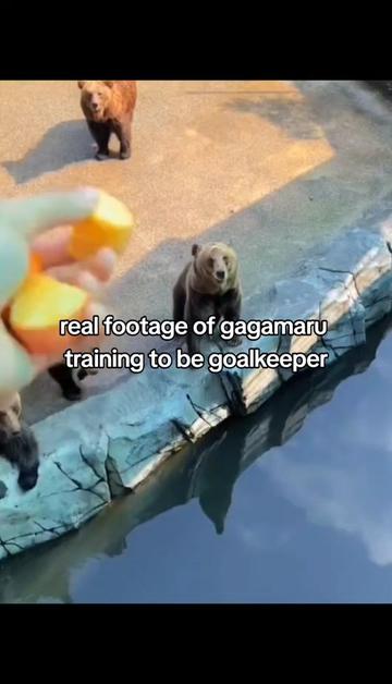 @GAGAMARUS #1 FAN !!