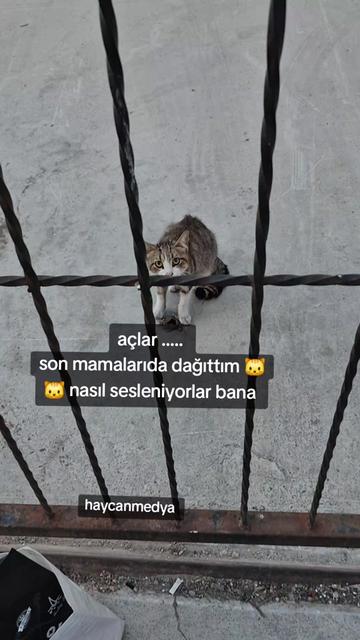 @HAYCAN MEDYA 🌐✔️