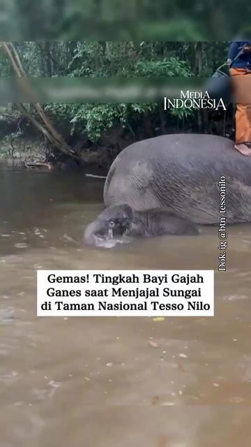 @mediaindonesia