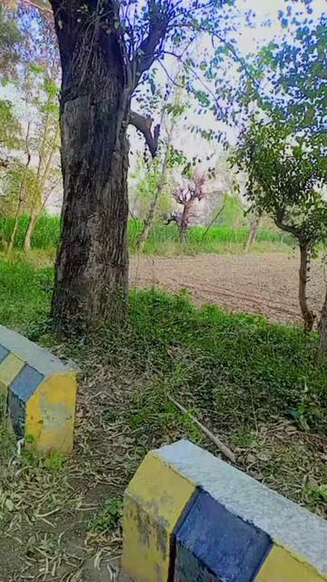 @GHANI bhaye