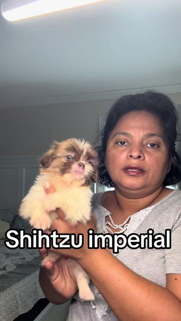 @Brenda Munoz