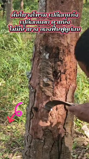 @นัดดาชอป