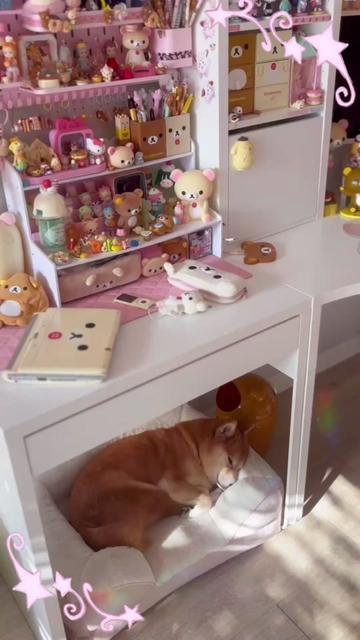 @Fab ʕ – ᴥ – ʔ