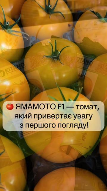 @Золотий Гектар|Насіння,Добрива