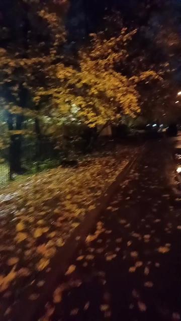 @Незабудка