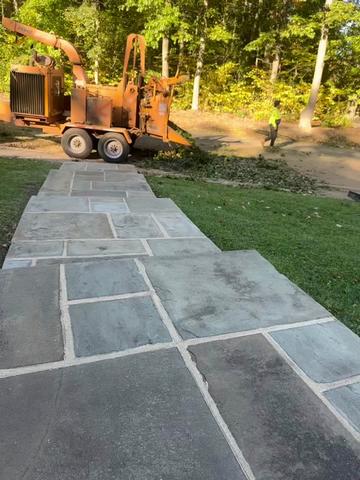 @Teto tree service