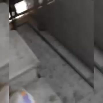 @Malvve da JÃTT
