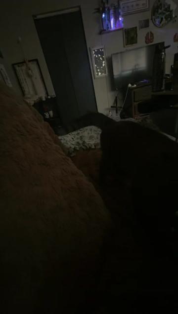 @hAmh0xhitta