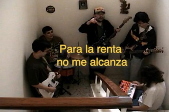 @cacomixtle