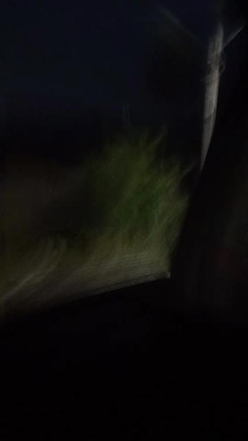 @𝘞𝘦𝘯𝘥𝘢_𝘈𝘯𝘯𝘢˃͈◡˂͈