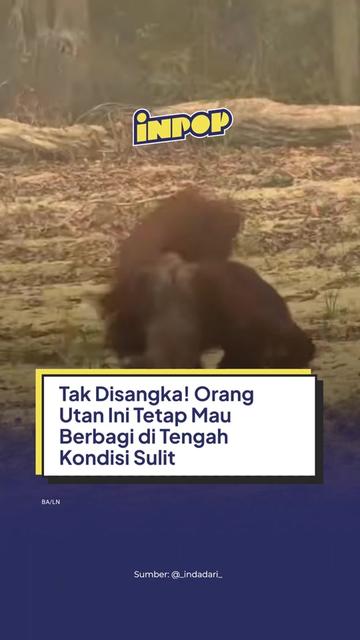 @inpopmedia