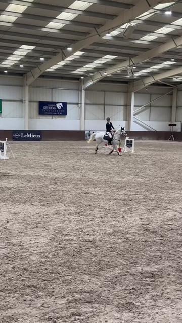 @amelia_showjumping2