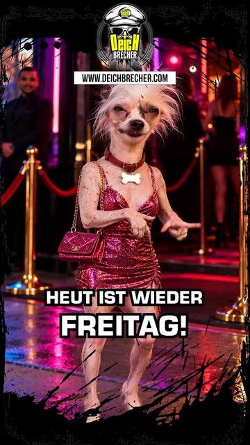 @💣DEICHBRECHER 💣