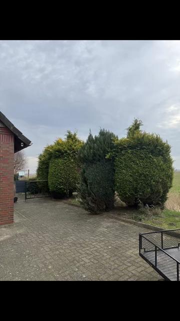 @In‘t Noord