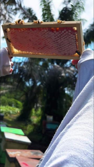 @maduclb🍯