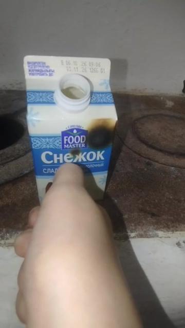 @крыска котик