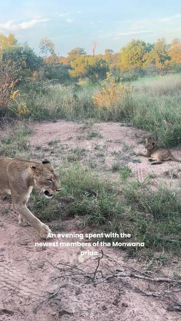 @Thornybush