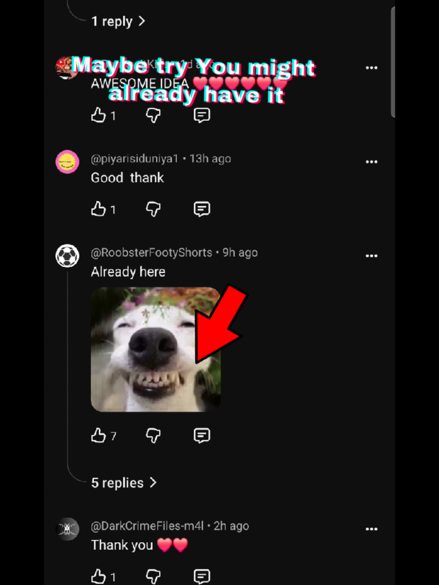 @G the Gamer✅️
