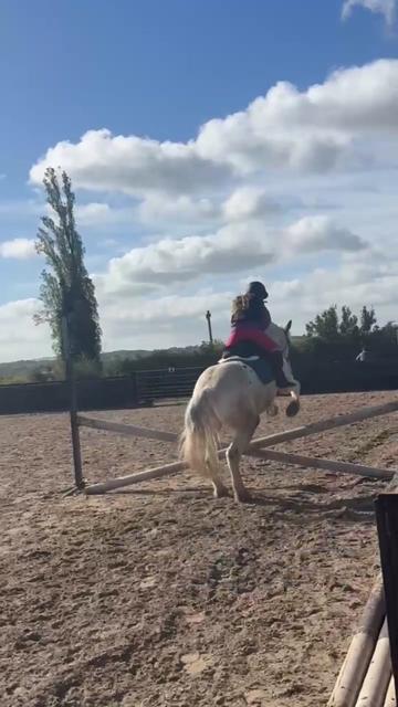 @LottiesHorseAdventures🦄🐴