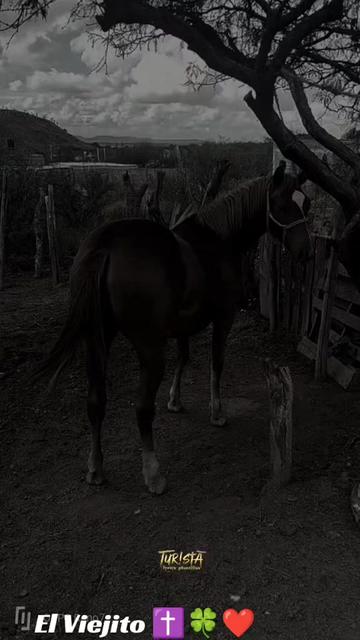 @Viejito Cordova✝️🍀❤️🐎🦅