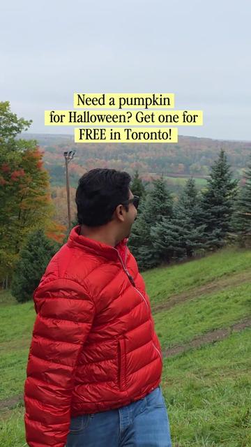 @Hrishi Toronto Food Travel UGC