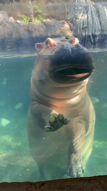 @Cincinnati Zoo