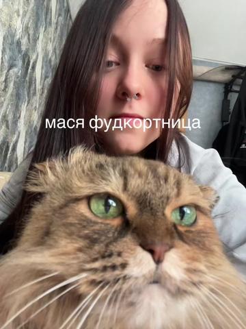 @написник